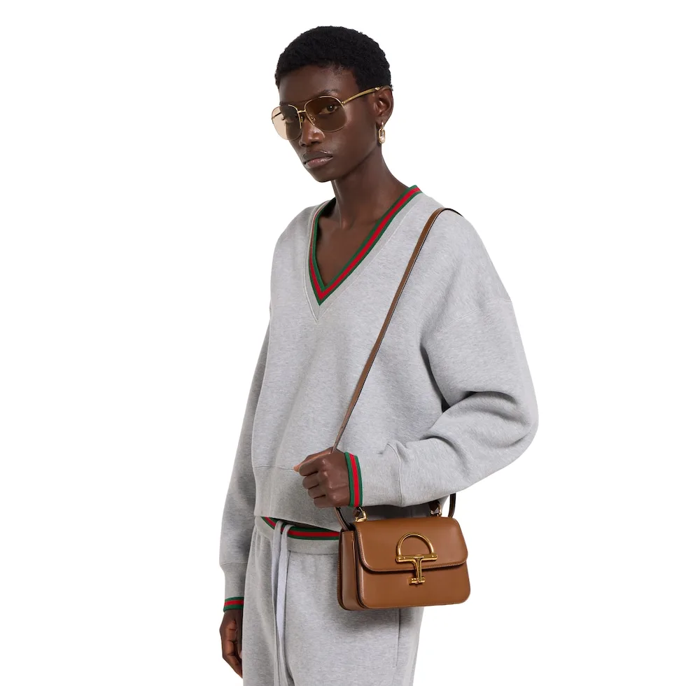 구찌 Gucci Siena 스몰 탑핸들백 855536AAFKB9540