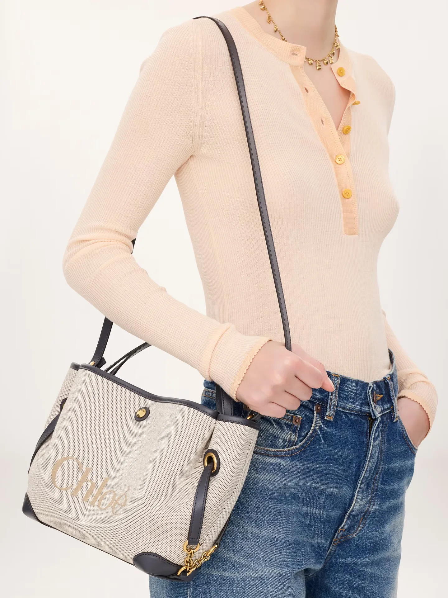 끌로에 스몰 끌로에 클로버 더블 캐리 백 캔버스 CH26AS656S6344C